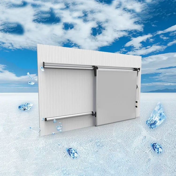 Cold Room Sliding Door 1