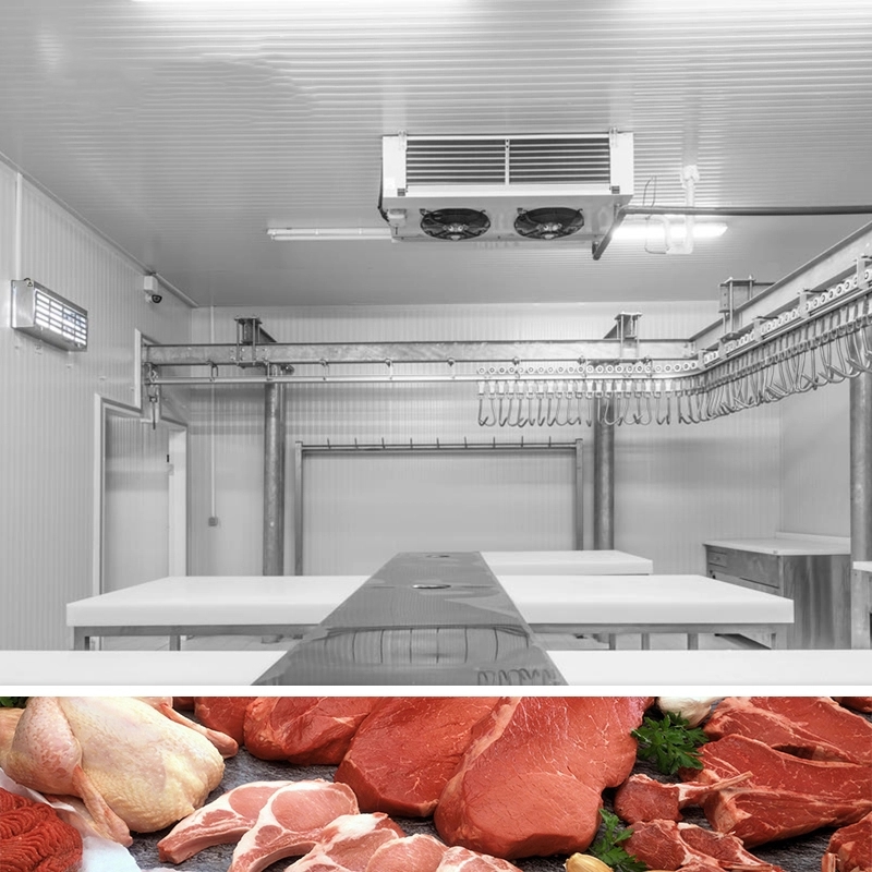 ARTECO Meat Storage Cold Room 1