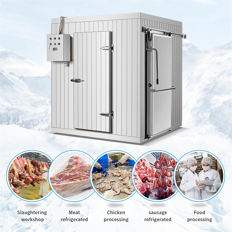 ARTECO Meat Storage Cold Room 2